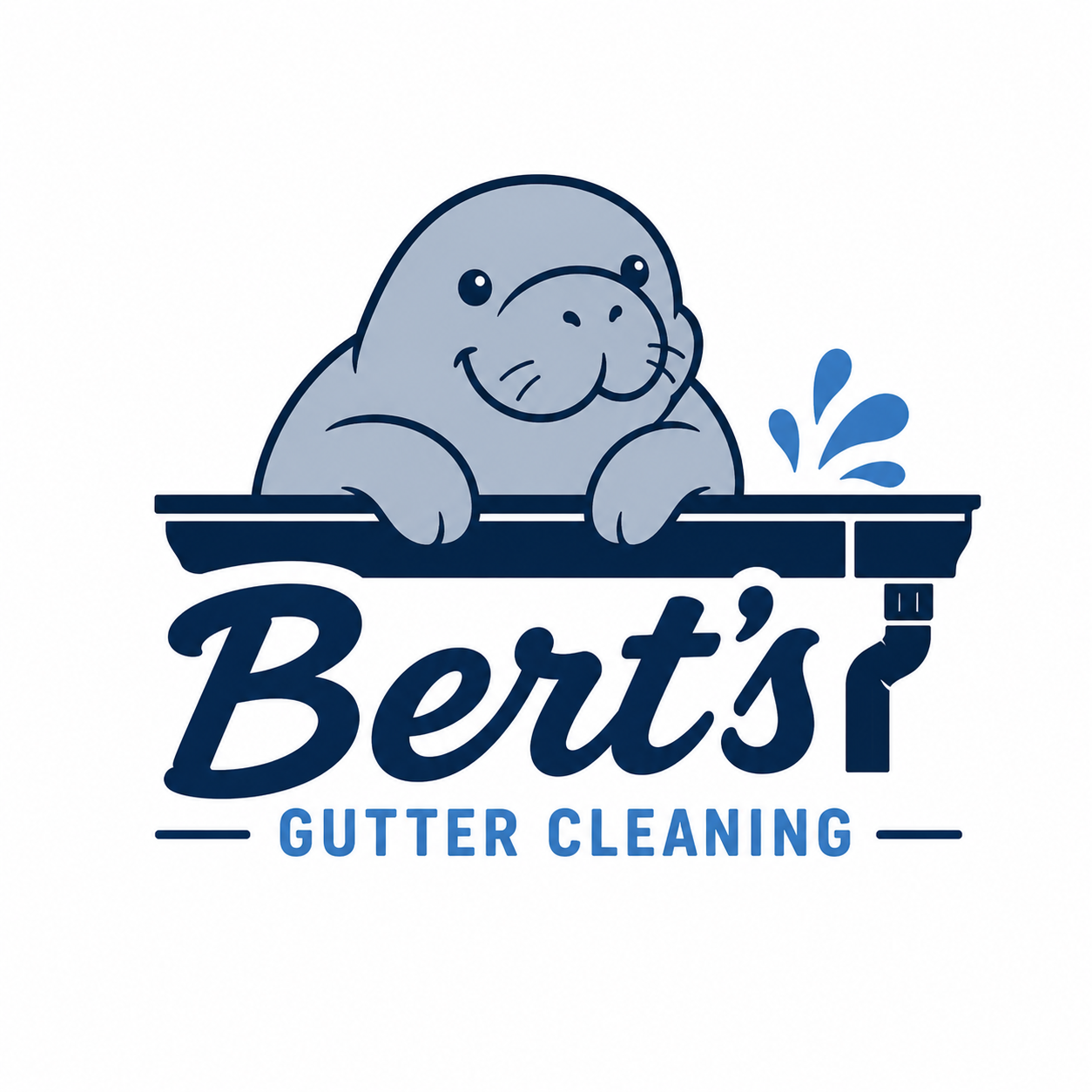 Bert's Gutter Cleaning logo