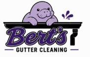 Bert's Gutter Cleaning logo