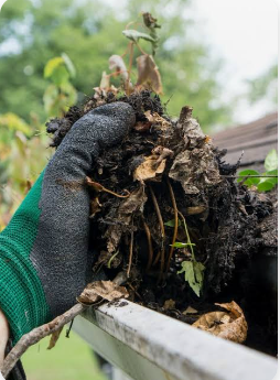 Gloved hand lifting wet leaves and roots from a residential gutter