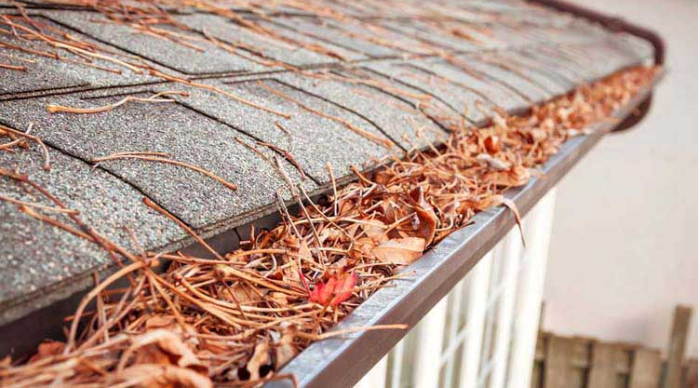 Residential rain gutter packed with pine needles and leaves