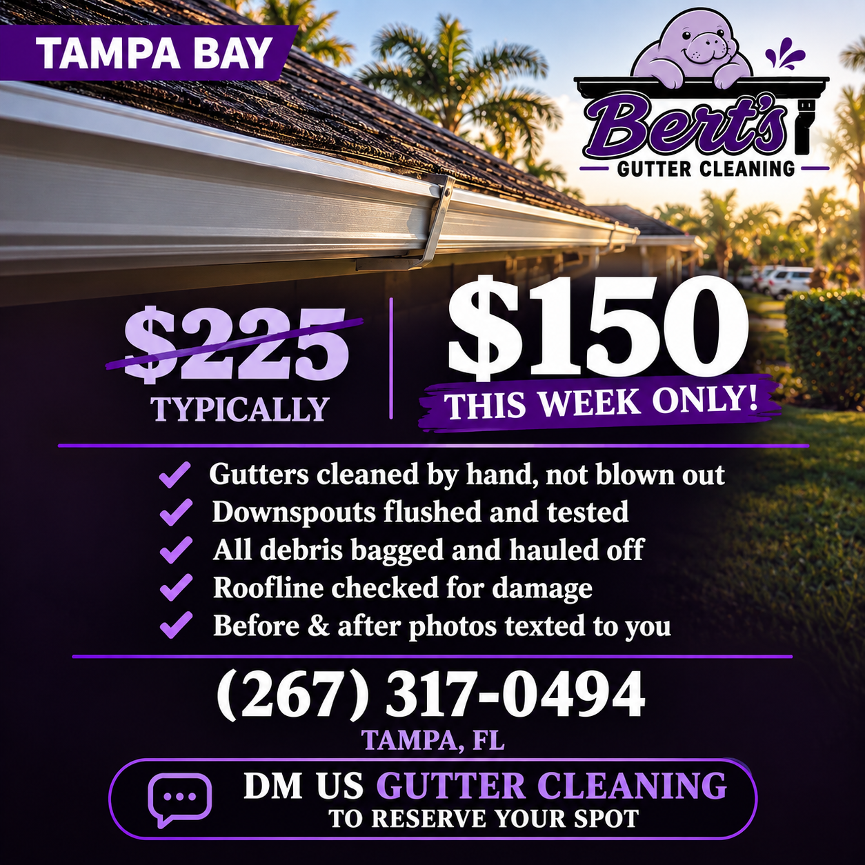 Bert's Gutter Cleaning Tampa Bay offer with service details and contact information